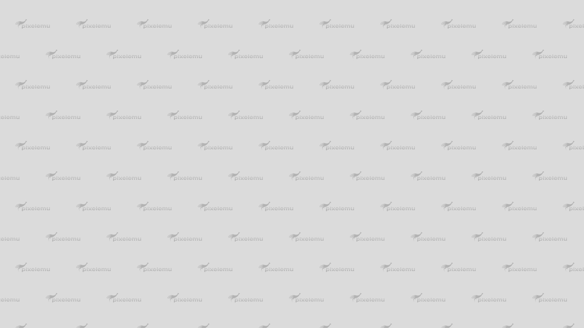 Lorem ipsum dolor si