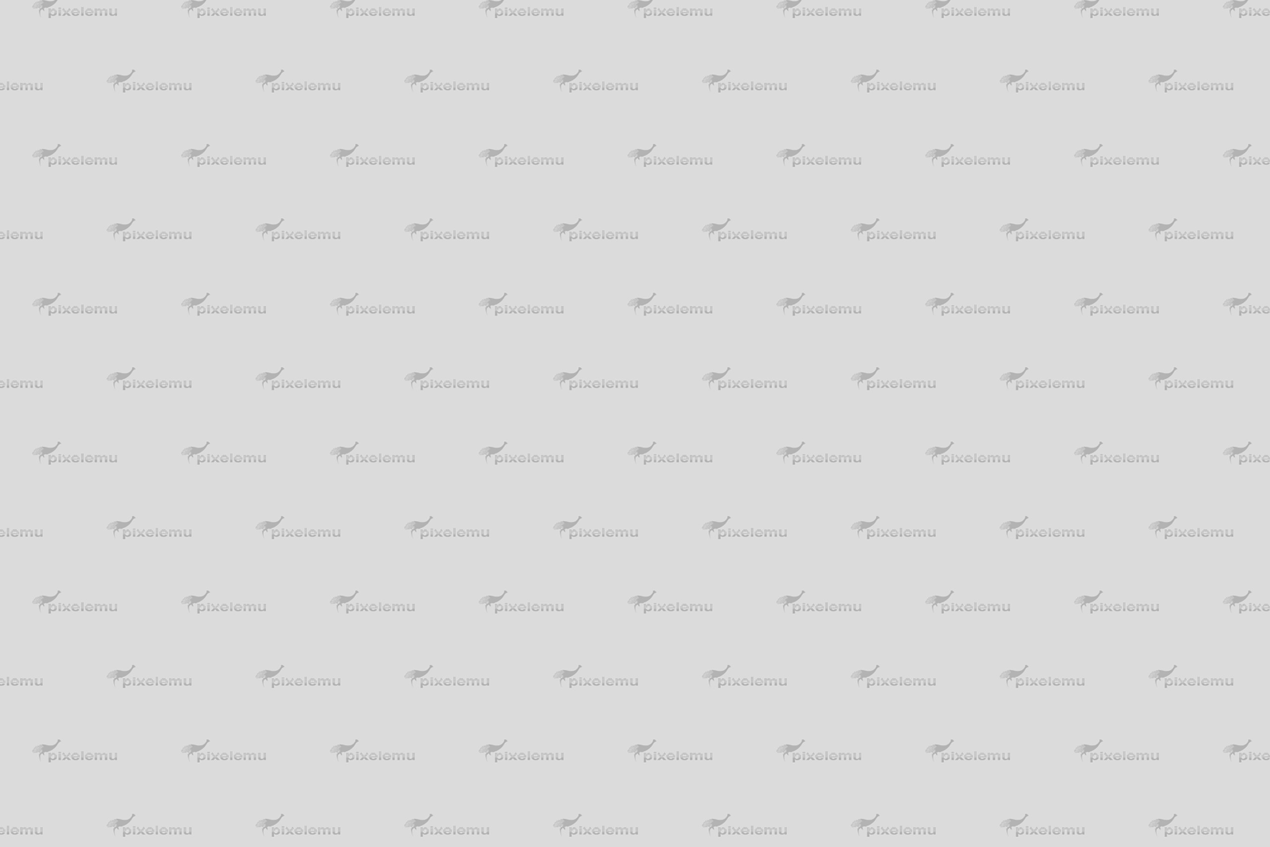 Lorem ipsum dolor si