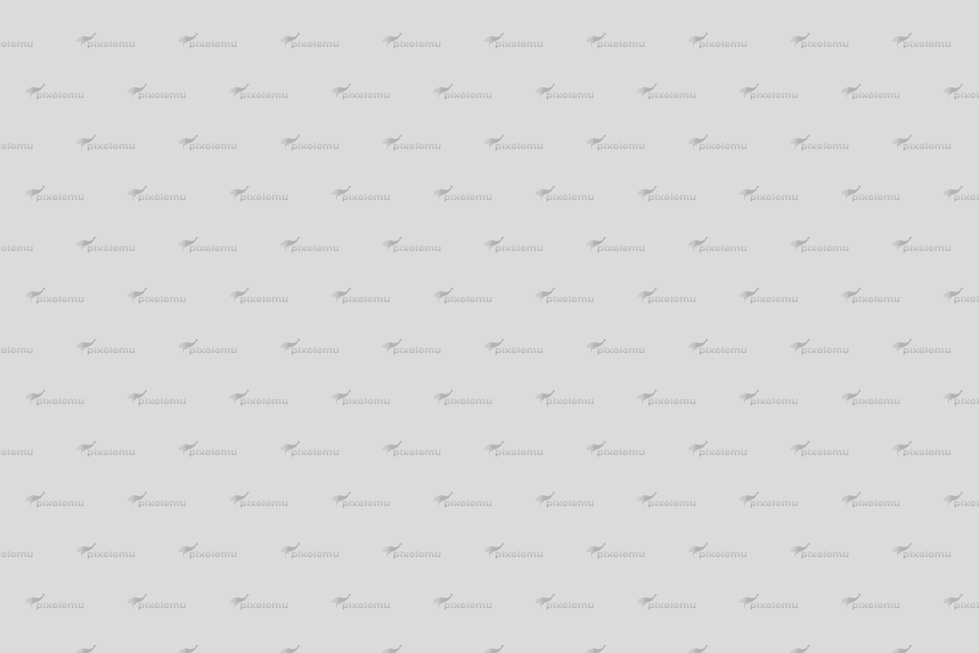 Lorem ipsum dolor si