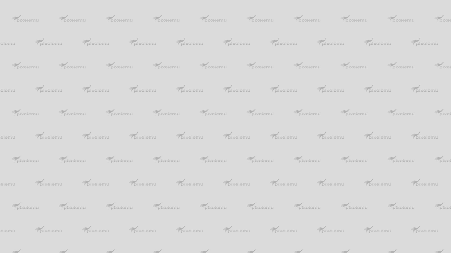 Lorem ipsum dolor si