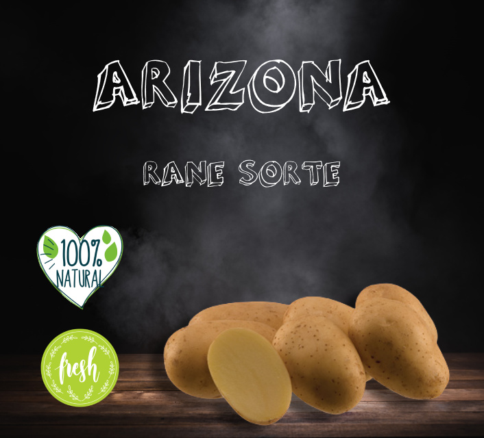 Rane Sorte Arizona