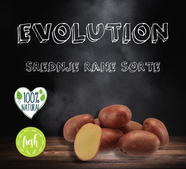Srednje rane sorte Evolution